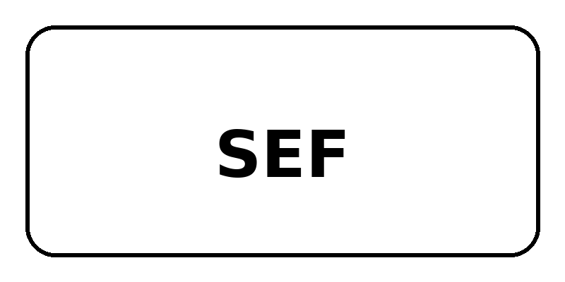 Пленка sef